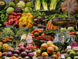 Ketika Cuaca Tak Menentu Menguji Ketahanan Petani Buah Indonesia