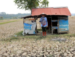 El Niño Sangat Kuat Bayangi Indonesia, 197 Wilayah Masuk Status Awas Kekeringan
