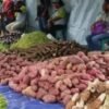 Papua: Fondasi Baru Ketahanan Pangan Nasional — Swasembada dari Akar Lokal