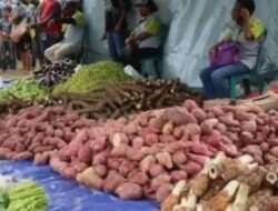 Papua: Fondasi Baru Ketahanan Pangan Nasional — Swasembada dari Akar Lokal