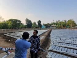Kalurahan Pleret Bantul Sulap Sawah Jadi Ladang Digital Berbasis AI
