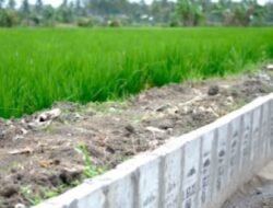 Kementan Perkuat 999 Irigasi Tersier di Jabar-Banten
