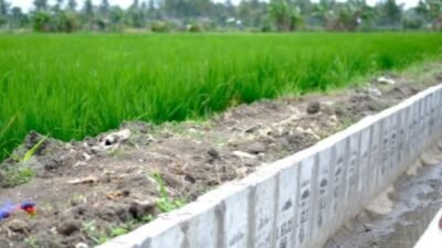 Kementan Perkuat 999 Irigasi Tersier di Jabar-Banten