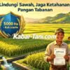 5.000 Hektare Sawah Tabanan Dilindungi AUTP 2026