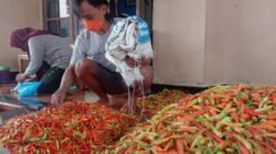 Harga Cabai Rawit Tembus Rp152 Ribu, Bapanas Siapkan Pasokan