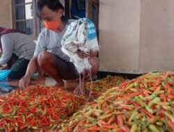 Harga Cabai Rawit Tembus Rp152 Ribu, Bapanas Siapkan Pasokan