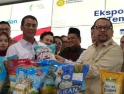 Harga Beras Naik, Pemerintah Tambah SPHP 1 Juta Ton dan Bantuan Pangan