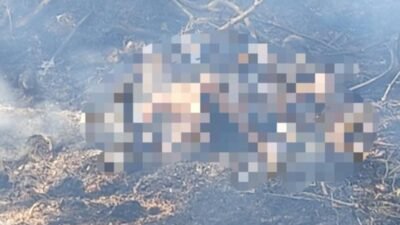 Petani 84 Tahun Tewas Terbakar Saat Bakar Lahan di Lampung Utara