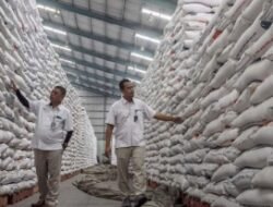 Bapanas: Stok Beras 4,6 Juta Ton Aman Hadapi El Nino