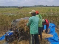 10 Kabupaten dengan Tenaga Kerja Pertanian Terbanyak, Jember di Posisi Teratas
