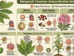 6 Tanaman Beracun yang Tumbuh di Indonesia
