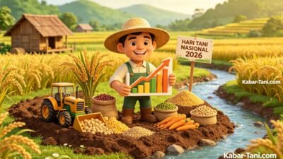 Hari Tani Nasional 2026, NTP Petani Naik 1,05 Persen