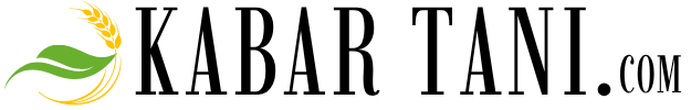 kabar-tani.com