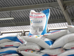 Harga Pupuk Turun 20 Persen, HPP Gabah Tetap Rp6.500: Apa Dampaknya bagi Petani?