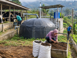 Dari Kotoran Sapi Jadi Biogas, Warga Suntenjaya Raup Cuan Sambil Jaga Sungai Cikapundung