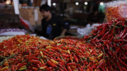 Harga Cabai Merah dan Rawit Naik, BPS Waspadai Inflasi Akhir Tahun
