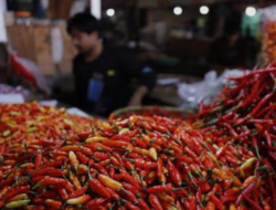 Harga Cabai Merah dan Rawit Naik, BPS Waspadai Inflasi Akhir Tahun