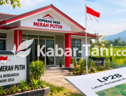 Sejumlah Kopdes Merah Putih Kendal Berdiri di LP2B, Ini Hasil Verifikasinya
