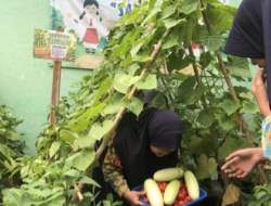 Limbah MBG Jadi Pupuk