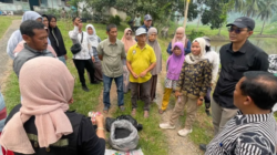 Hilirisasi Batu Bara Masuk Sawah, PTBA dan UGM Uji Pupuk Kalium Humat