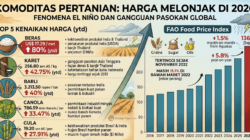 Harga Beras Naik 80%, Ini 5 Komoditas Pertanian Termahal 2026