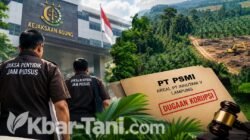 Dugaan Korupsi Hutan PT PSMI, 2 Saksi Diperiksa