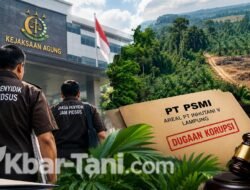 Dugaan Korupsi Hutan PT PSMI, 2 Saksi Diperiksa