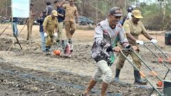 IPB Uji Padi Hemat Air di Merauke