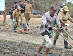 IPB Uji Padi Hemat Air di Merauke