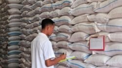 Stok Beras Pemerintah Menguat, Mengapa Harga Pangan Masih Tinggi?