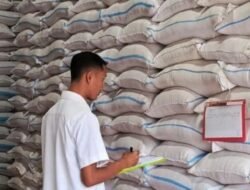 Stok Beras Pemerintah Menguat, Mengapa Harga Pangan Masih Tinggi?