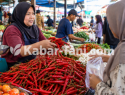 Harga Cabai di Palu Rp130 Ribu per Kg, Kemendagri Pantau Pangan